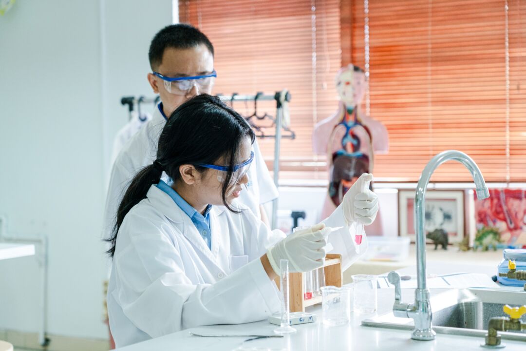 sekolah internasional