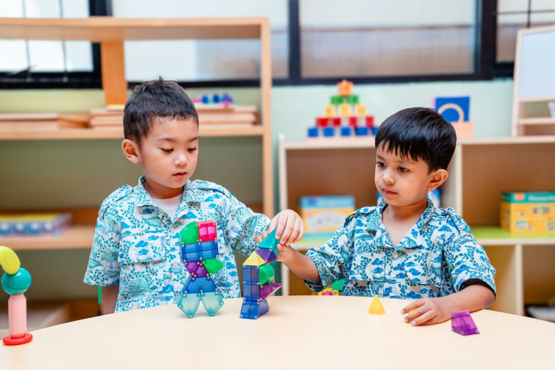 social emotional skills